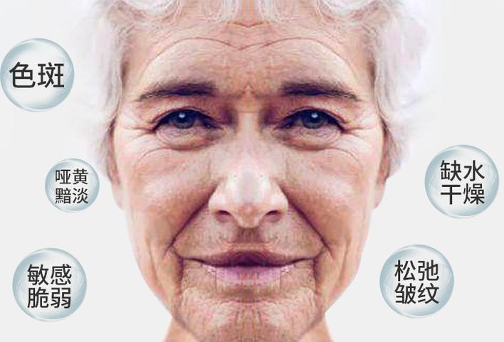 pony用过的底妆,pony底妆用法