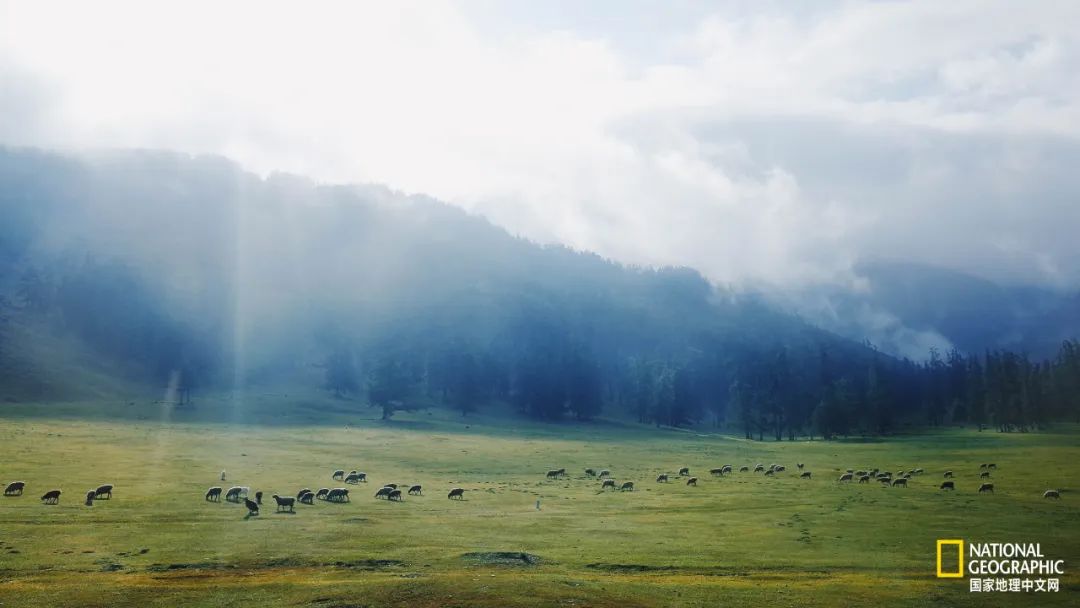 有一种异域风情的美,有一种前所未有的力量充斥着我