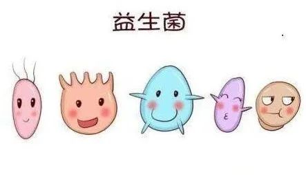 依赖性是好事还是坏事,人为什么不会产生依赖性