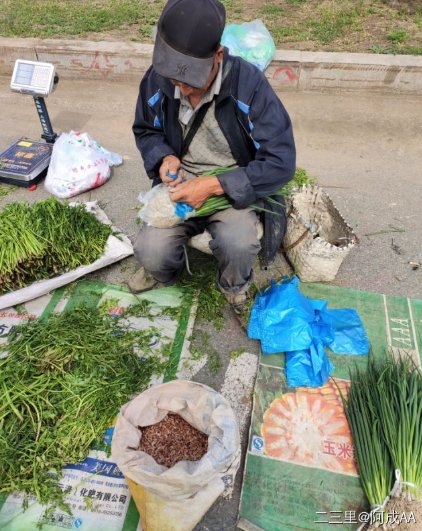 二三里赶集,二三里赶集地方在哪里