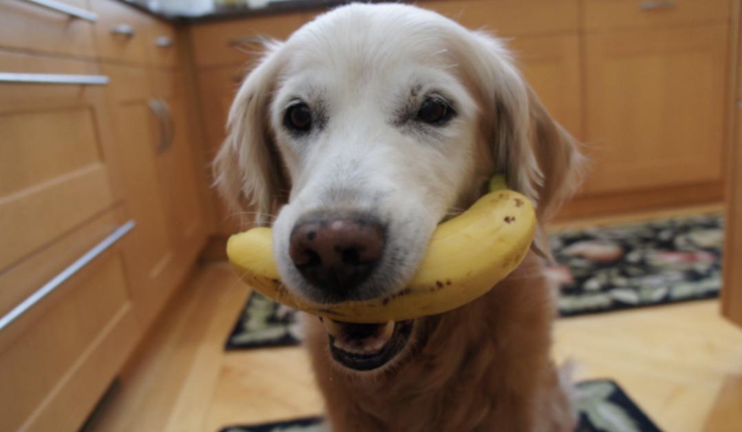 老人说天热了别用尿不湿了怎么说,老人不肯穿尿不湿晚上小便怎么办