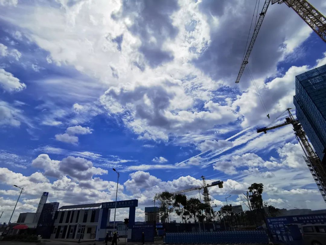 刷屏了！这样的开福蓝，请给我来一打