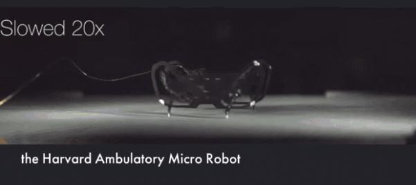 史上最小、速度最快机器人!哈佛出品的2厘米「四足小强」来了