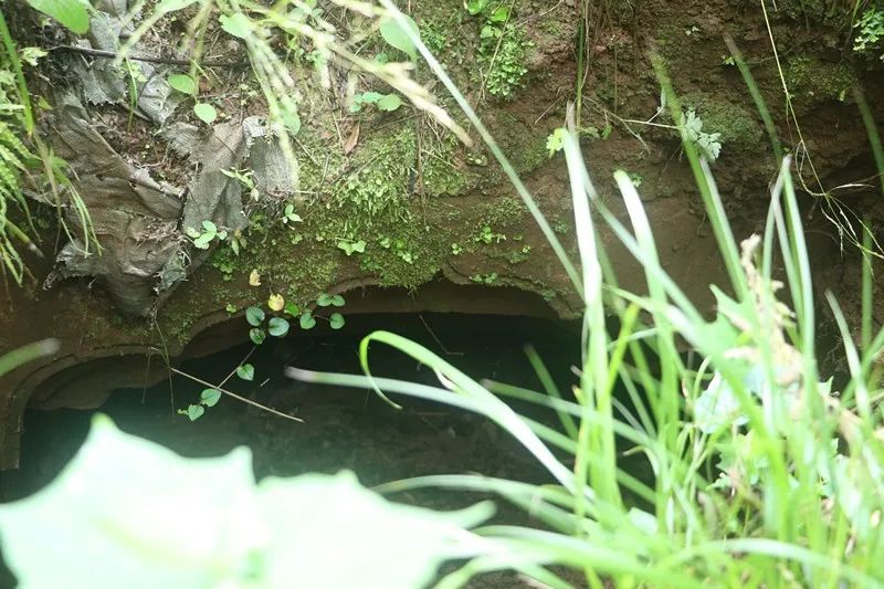 多彩新区|贵平，在那桃花盛开的地方！