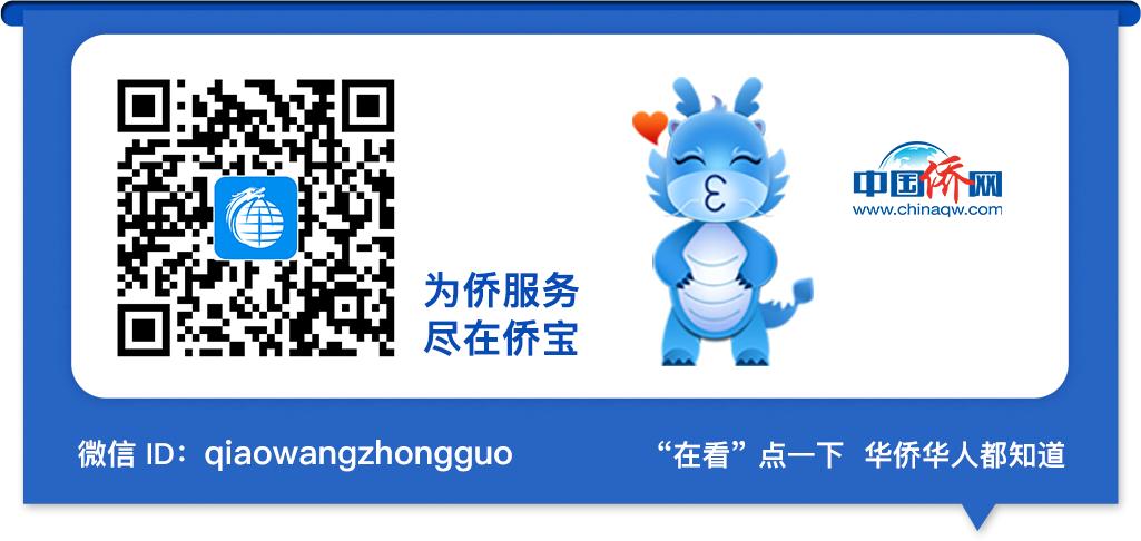 都是套路惹的祸原视频,都是套路深惹得祸