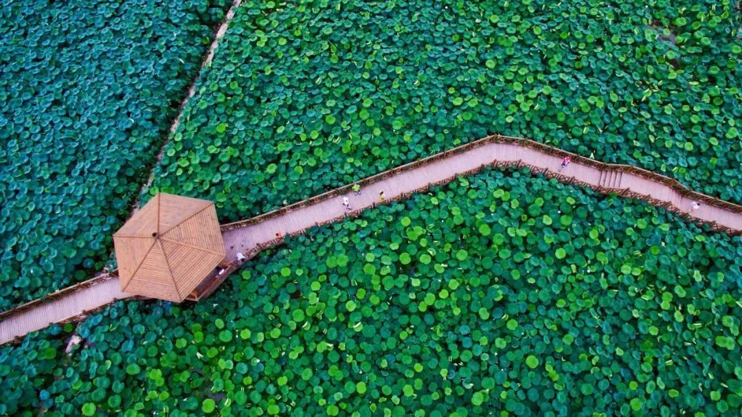 火了火了！成都又新添一个区，地铁10号线直达！夏日纳凉、吃河鲜…3日郊游路线，安排→