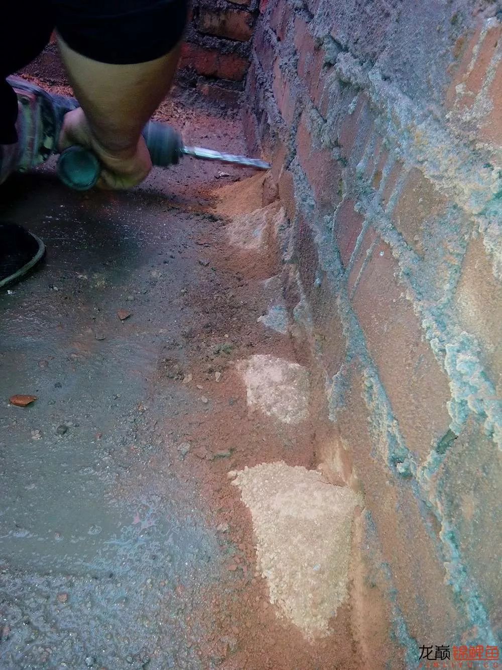 锦鲤池建造施工过程,楼顶怎么施工建锦鲤池