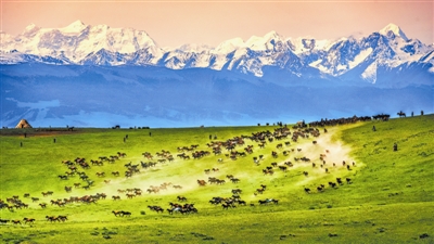 钱学森的大爱,钱学森的家国情怀