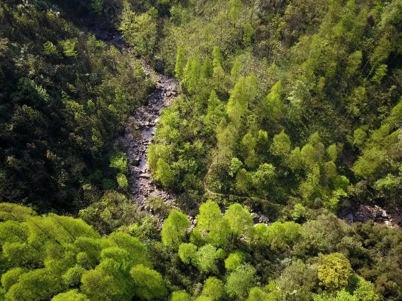 夏日避暑胜地高铁直达,坐动车可直达哪些地方避暑