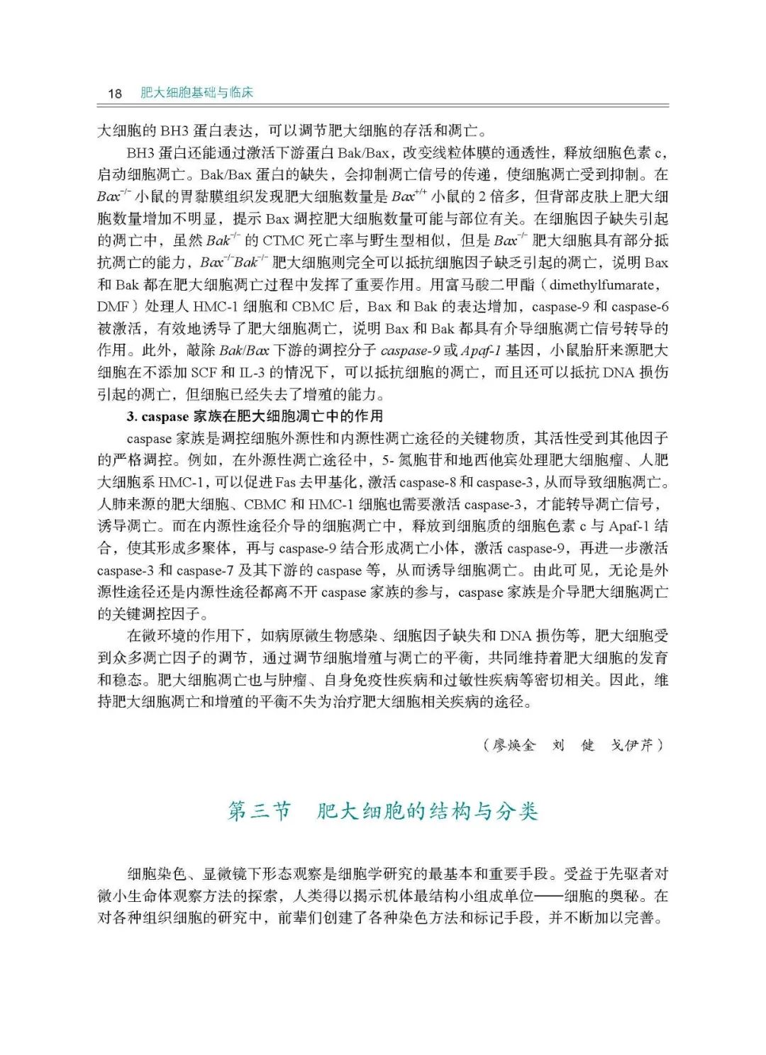 肥大细胞症,肥大细胞产生在哪