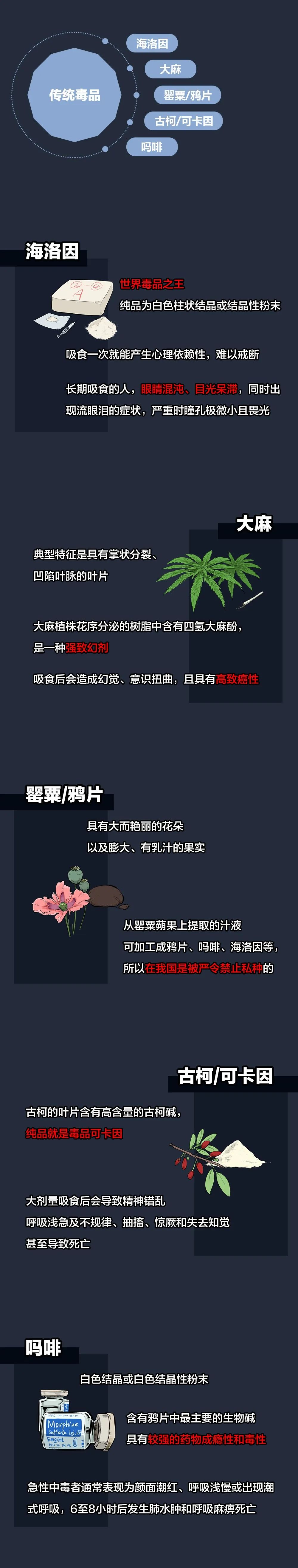 “聪明药”可快速提高成绩？别吃！是新型*品毒**