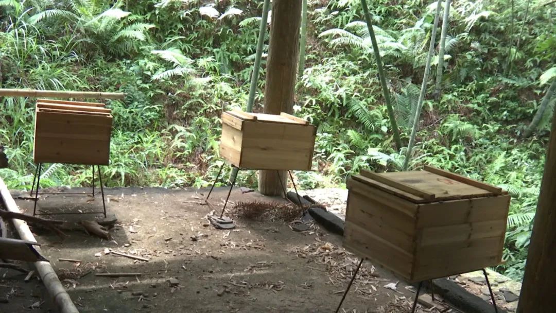 蜂农找蜂蜜销路,养蜂人蜂蜜滞销怎么办