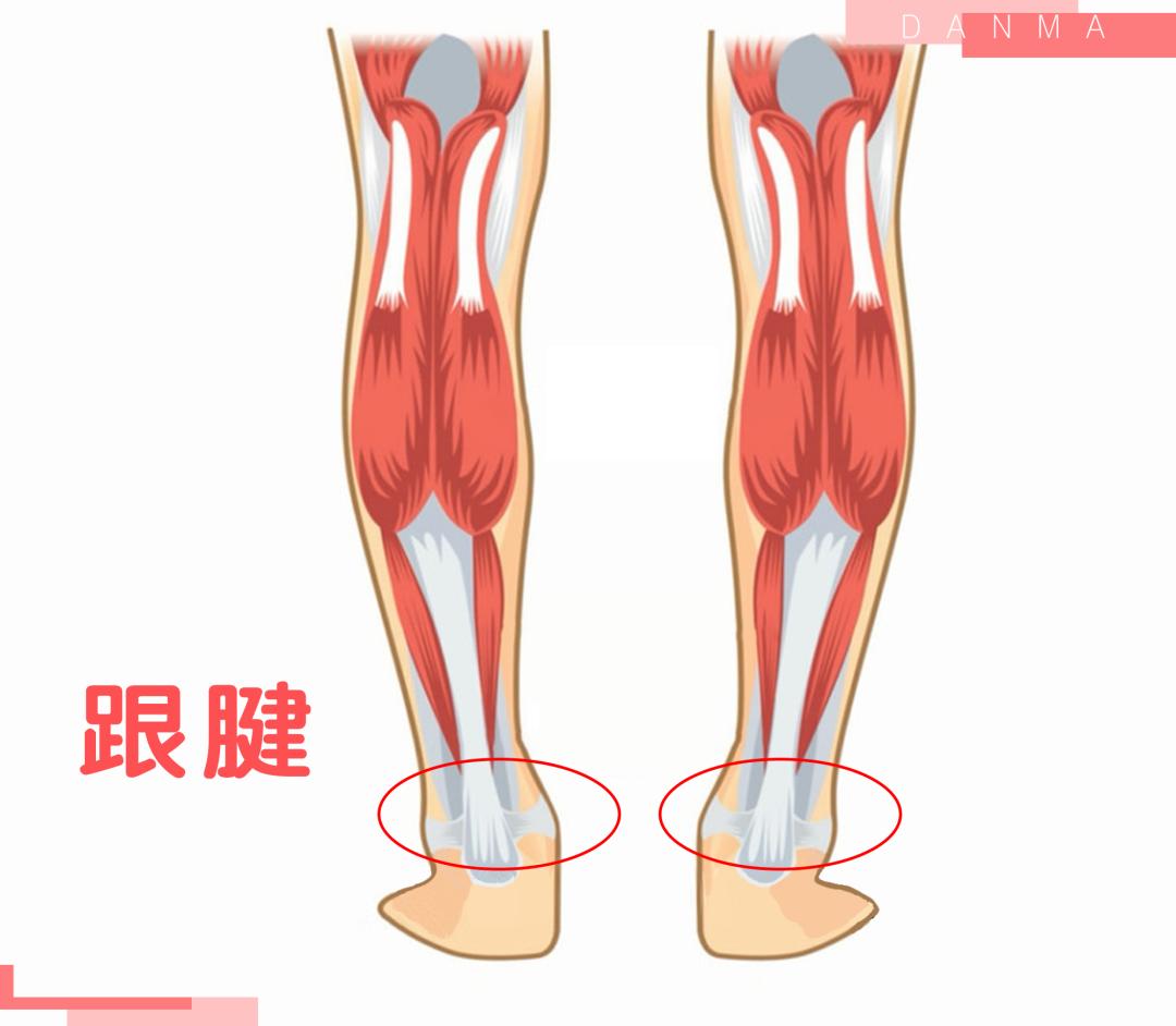小腿和脚踝粗怎么穿搭,脚踝特别粗怎么变瘦