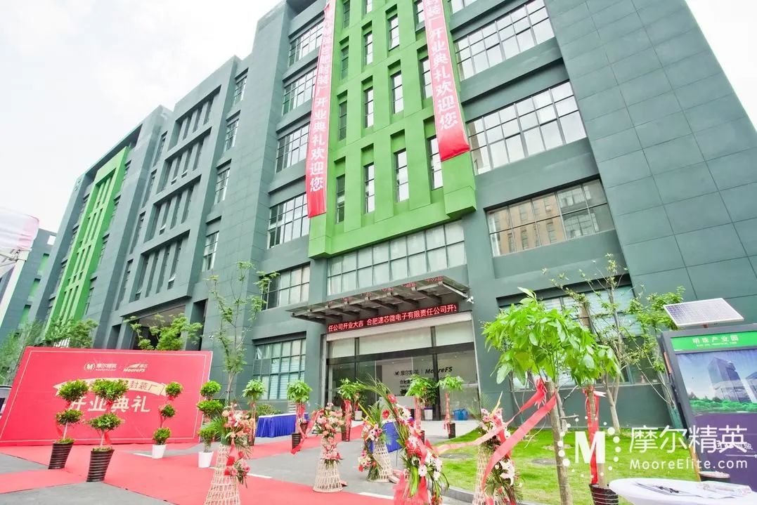 摩尔精英5周岁,谢谢你陪我一起成长