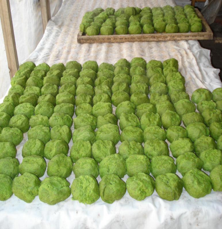 寿光市非遗项目名单,山东寿光非遗目录