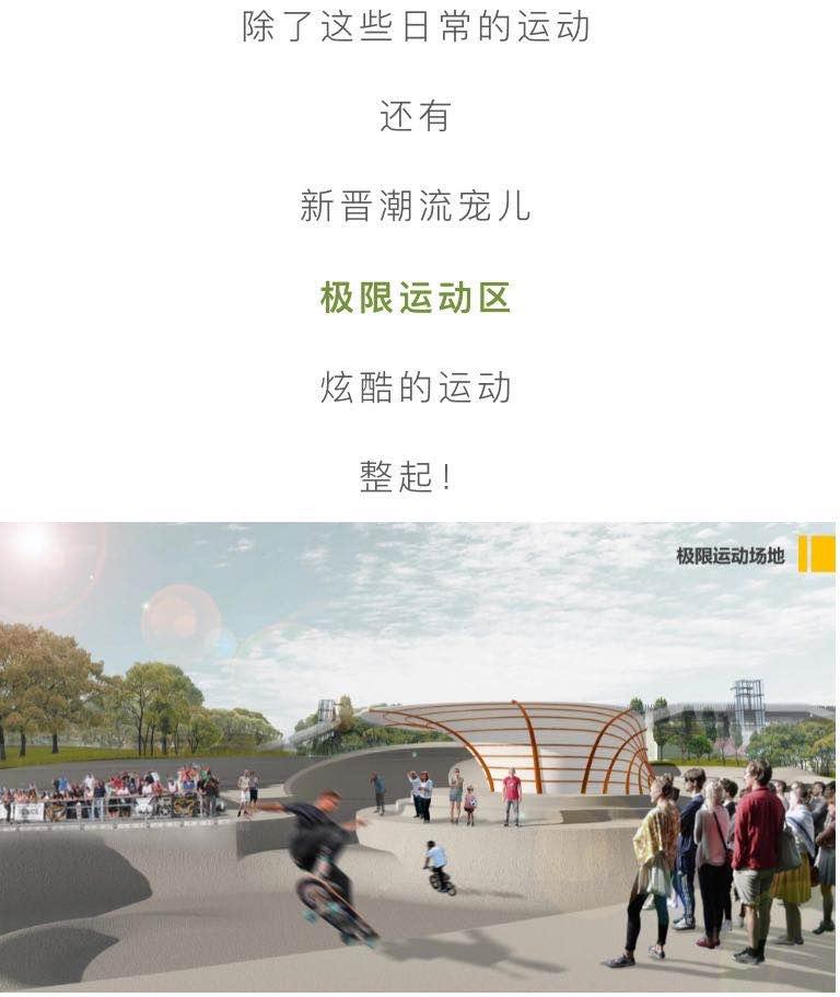 空港公园最新消息,空港体育公园篮球最新情况