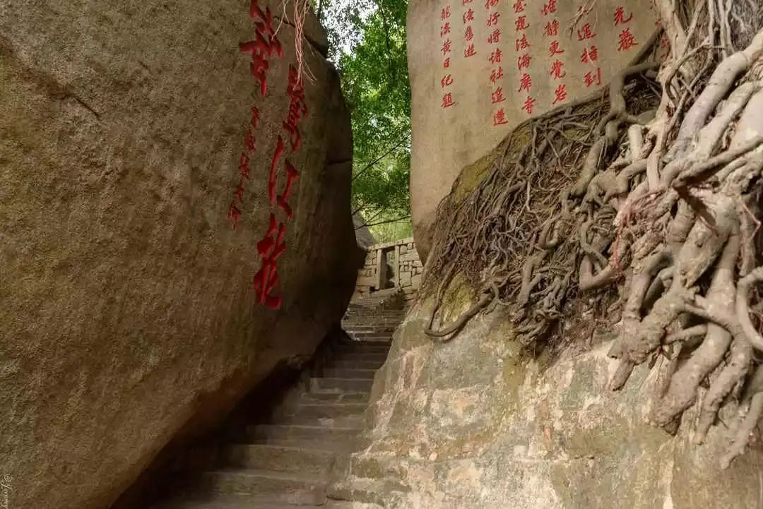 鼓浪屿超美风景,鼓浪屿排名前十名