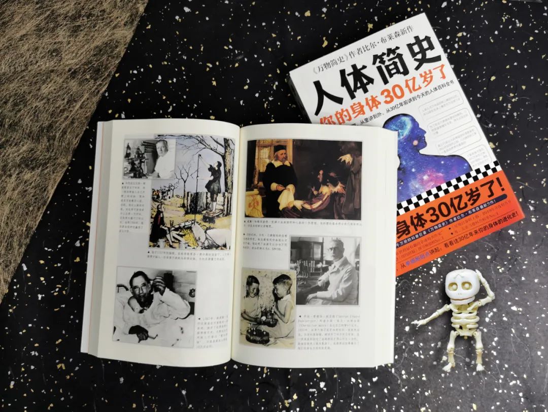 50个匪夷所思的冷知识,人体小知识冷知识