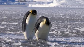 妥妥的知识宝藏！这位妈妈深扒B站，今年暑假学习资源不用愁了