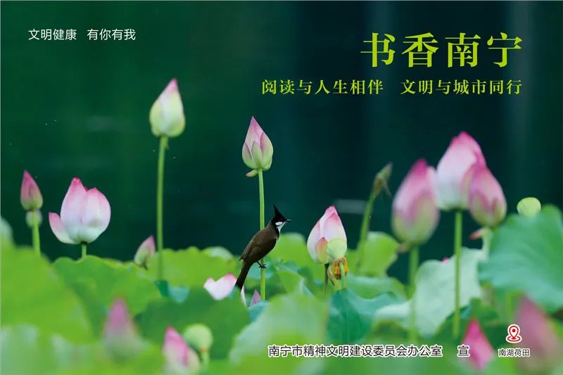 国庆出游最强攻略,国庆不出重庆周边五日游最佳攻略