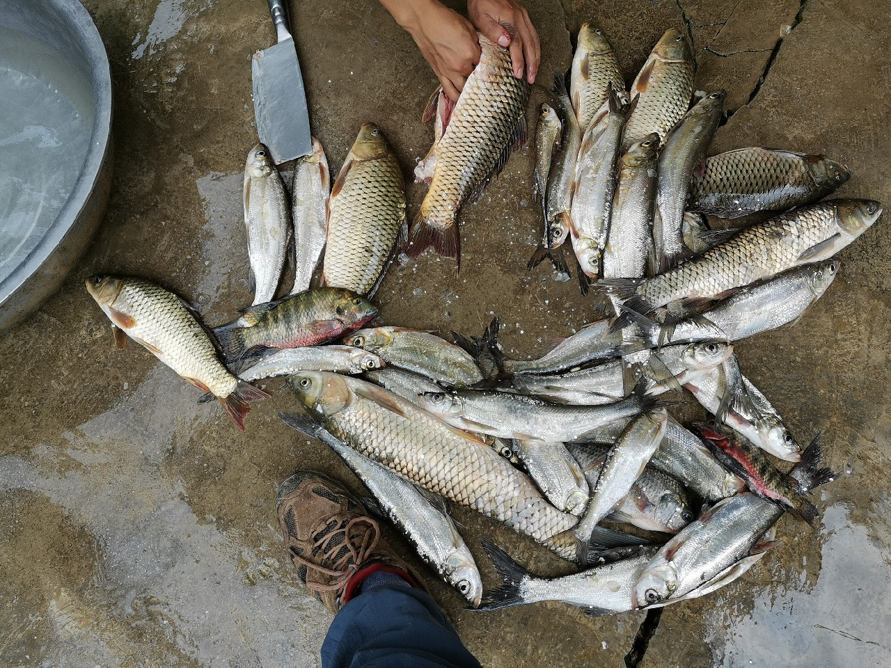 灏忓悍鍝ヤ竾宄版箹閽撻奔 (灏忓悍鍝ユ帰閽撲竾宄版箹)
