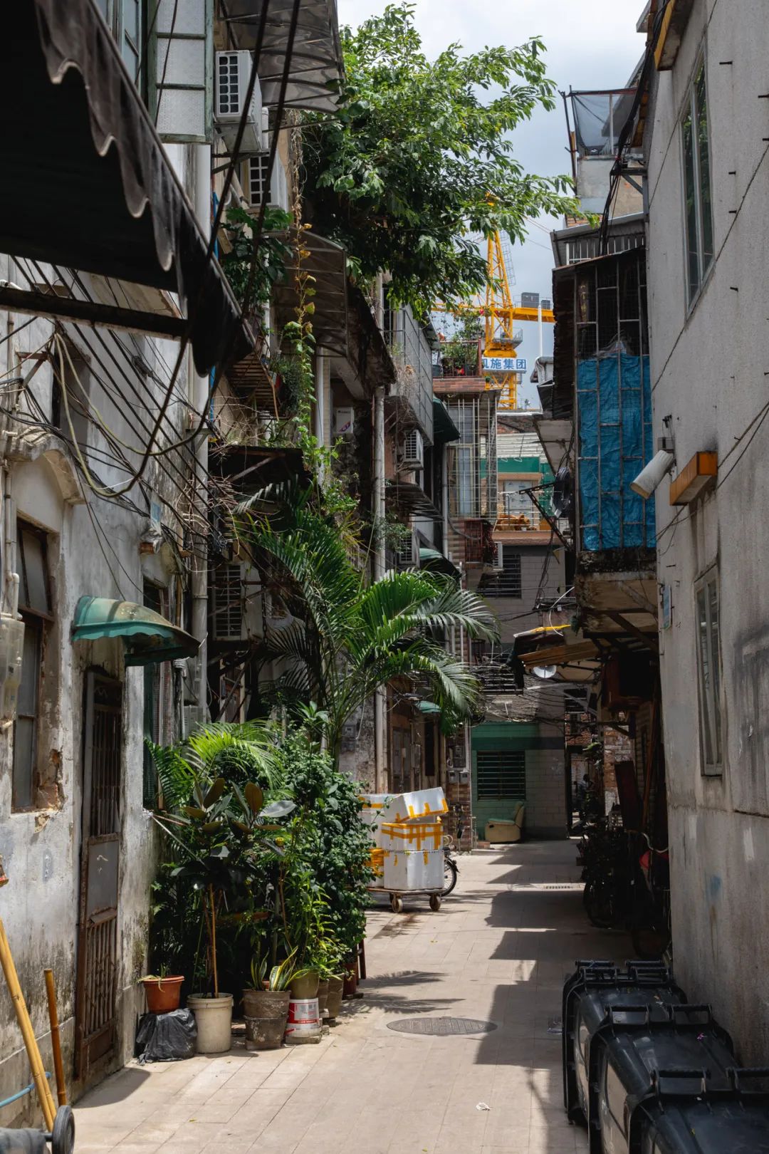 越秀区这条“木排头”,惊艳了岁月,却很少老广知道