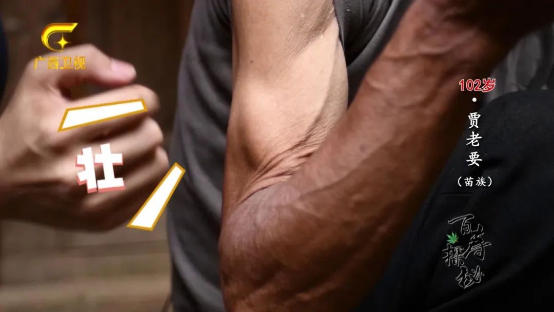 牛胃里的草叫什么,牛胃里的牛草黄