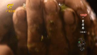 牛胃里的草叫什么,牛胃里的牛草黄