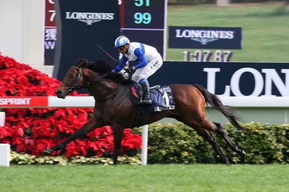 1216亿元！2019/20香港马季总投注额破千亿大关