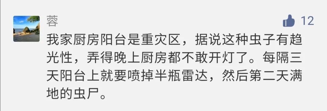 虫子入侵,外星怪虫入侵