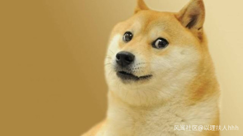 动画孩子们拯救父亲,管管家长救救孩子