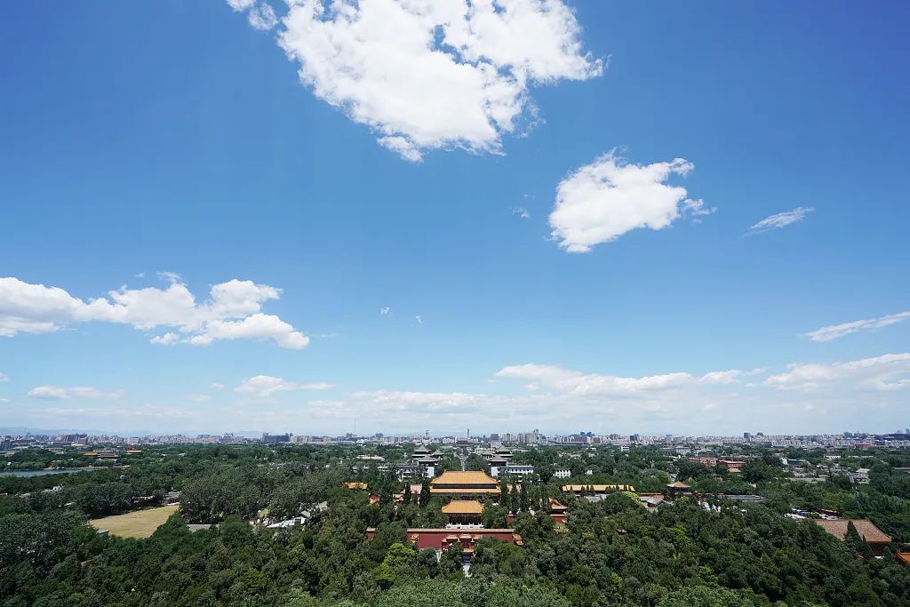 哈佛大学中国民意长期调查 (美国哈佛大学调查)