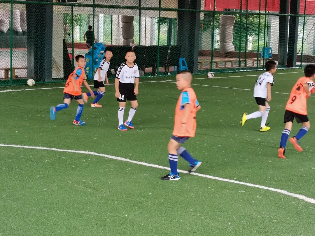 秀山叉车培训,秀山夏令营培训基地