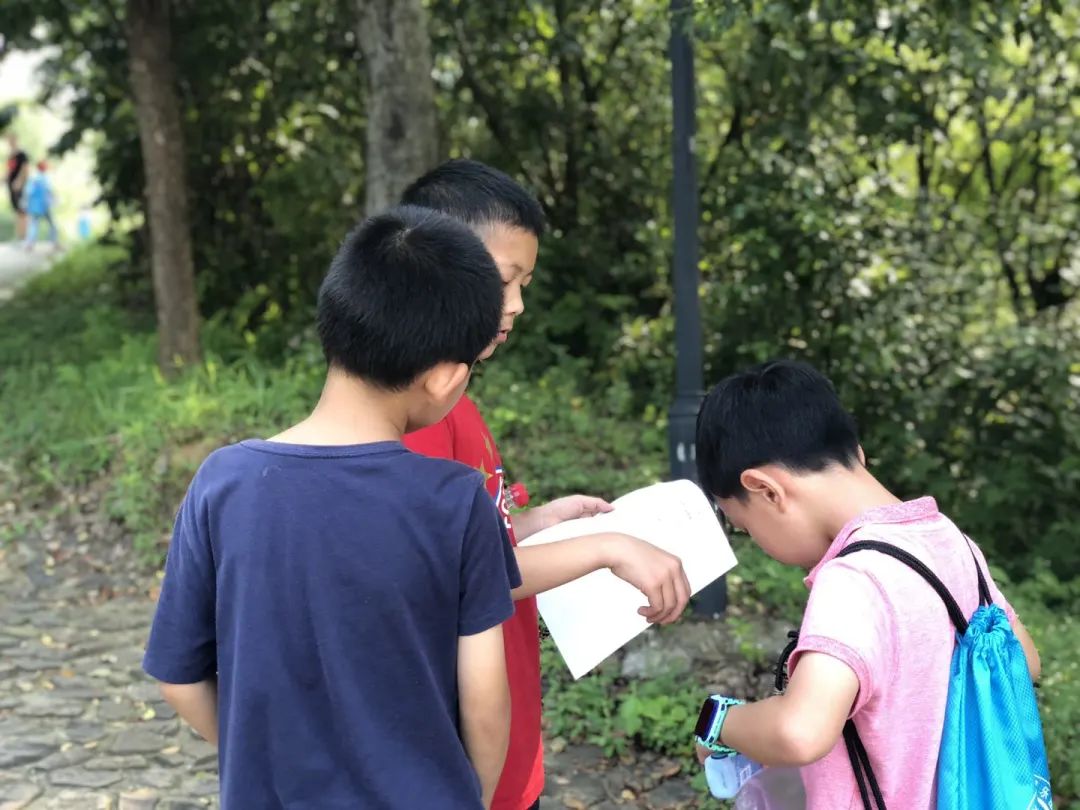 森林探险之旅的目的,神秘的雨林探险之旅