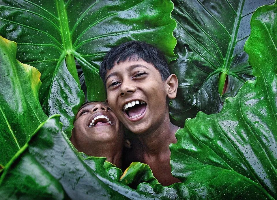 全世界最绿的50张照片