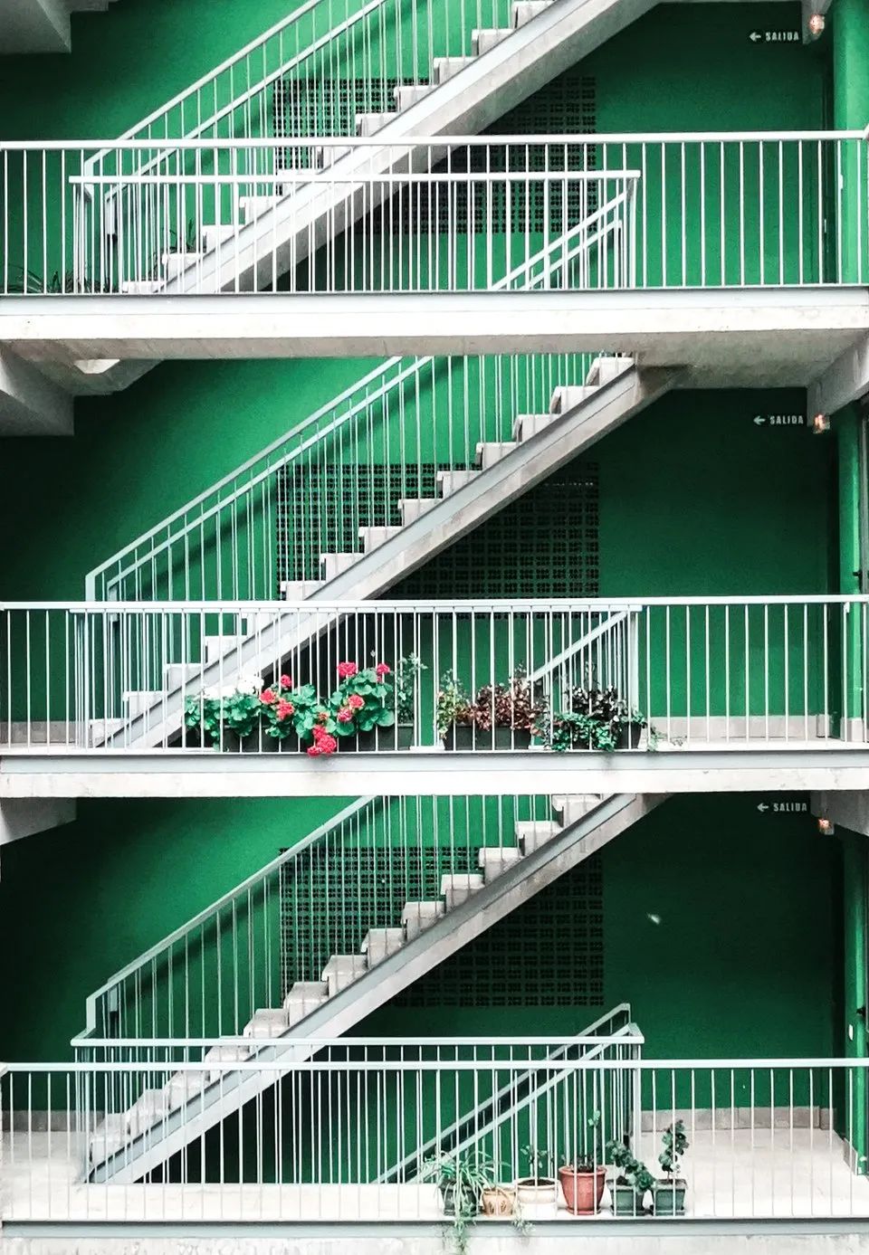 全世界最绿的50张照片