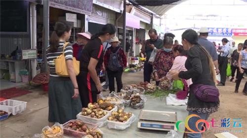 云南楚雄野生菌中毒,楚雄州野生菌中毒