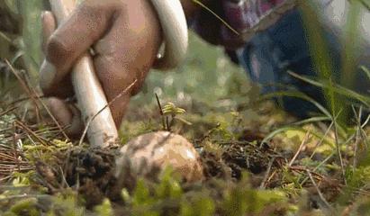 云南人在这件事上,命比谁都硬