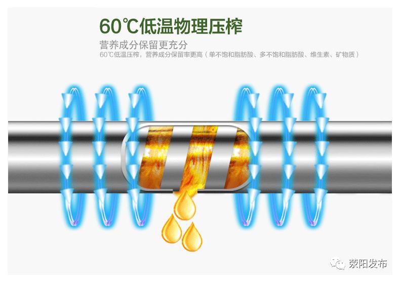 冷榨食用油推荐,爱厨非转基因食用油