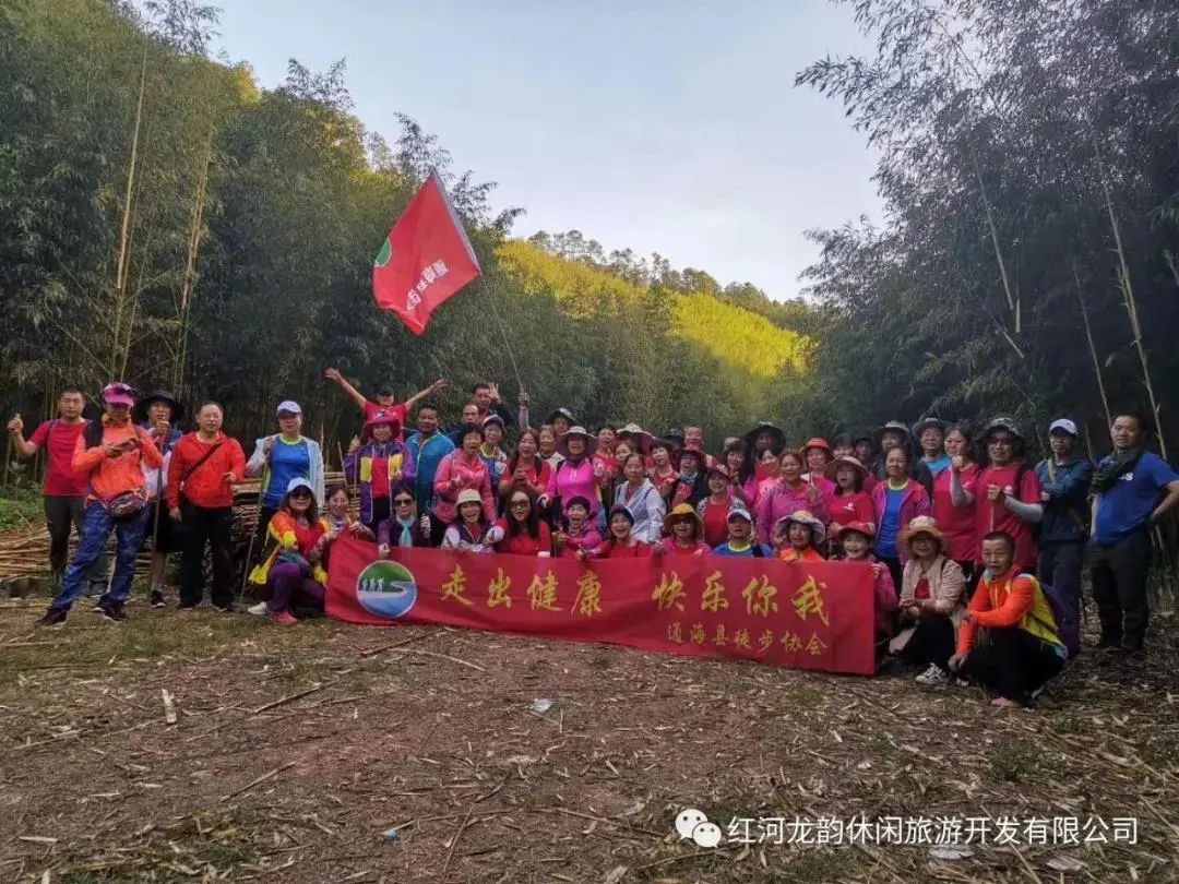 石屏龙韵养生谷干巴菌,云南石屏龙朋干巴菌节