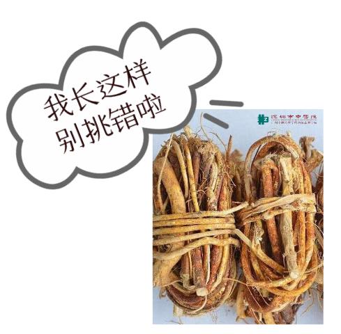 五指毛桃汤什么人不宜饮,五指毛桃汤的中毒症状