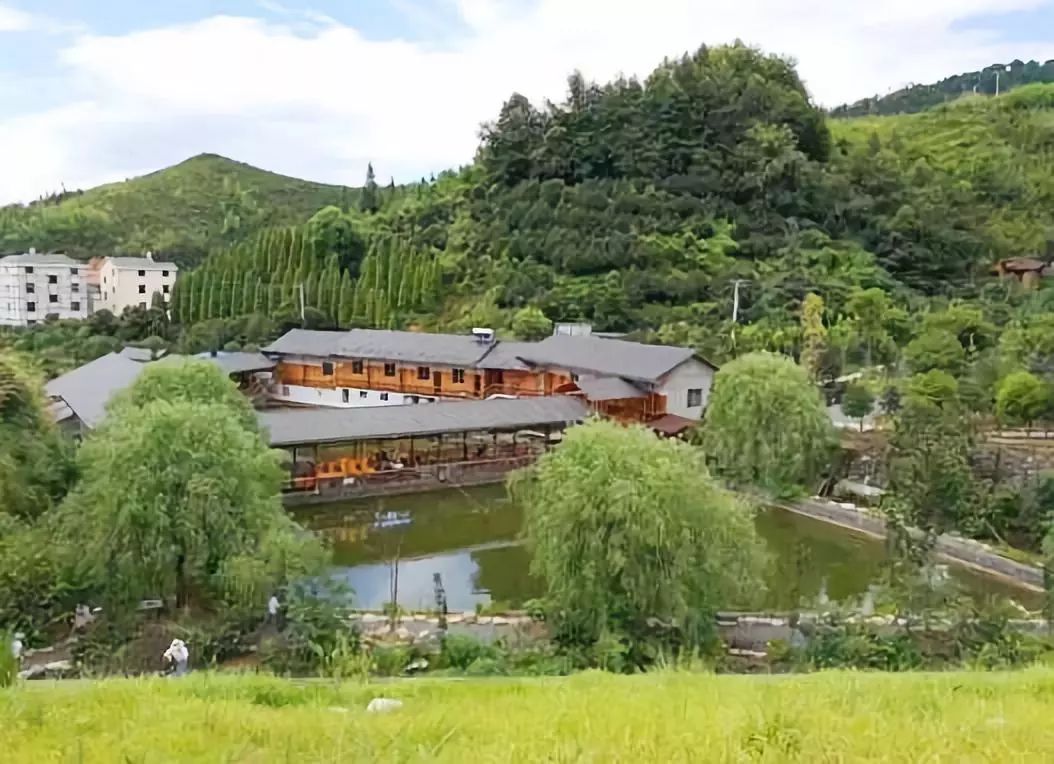 衢州十大顶级民宿,适合冬天去的衢州民宿