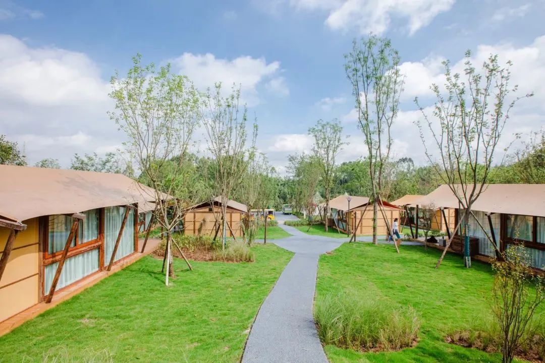 成都彭镇老茶馆,成都彭镇老茶馆打卡地点