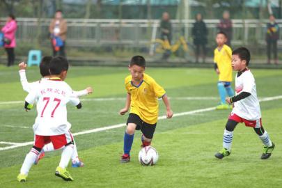 球球大作战联手,球球联手视频完整版