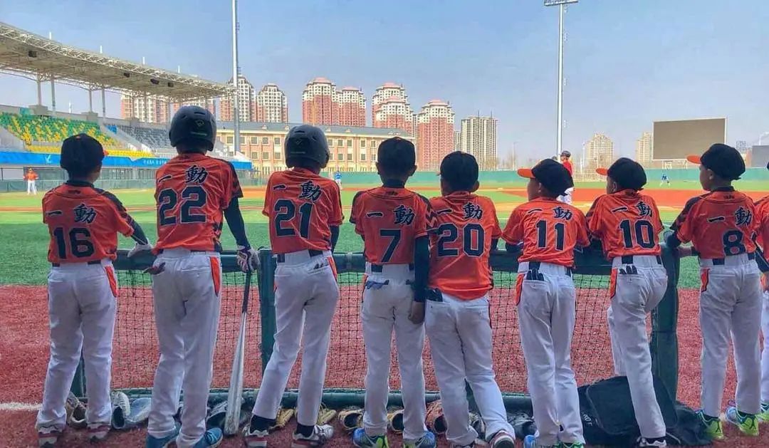 平均年龄十岁的他们用棒球证明了：莫欺少年穷