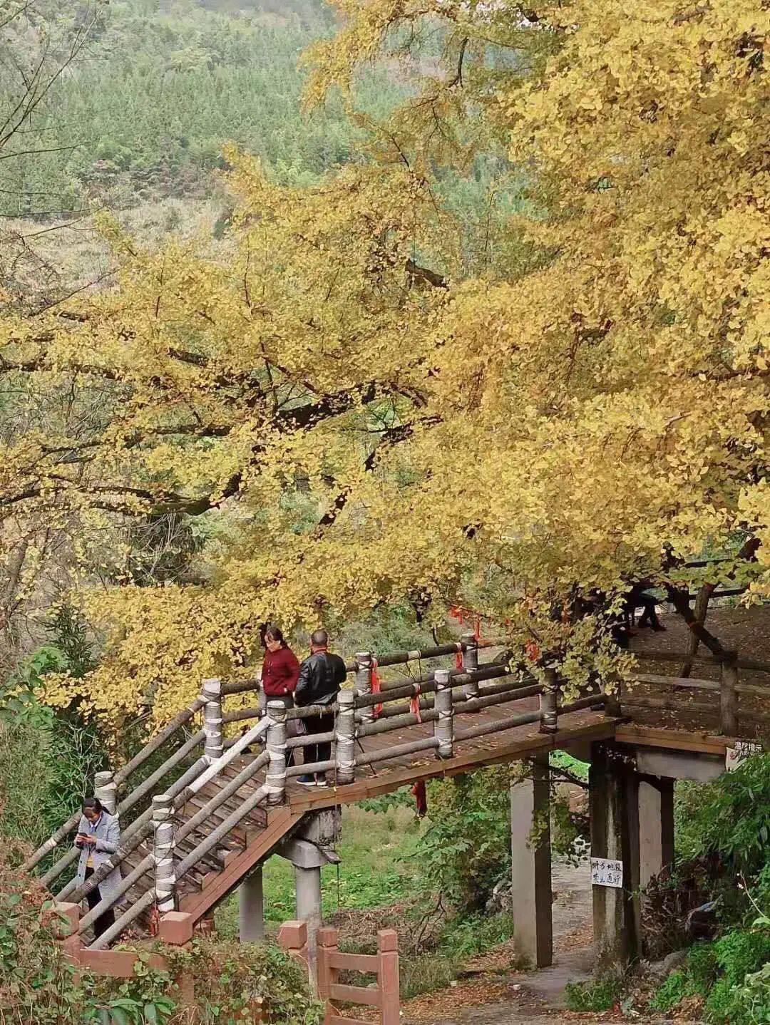 27岁突发耳聋，她却成了月入5万的自由职业者——一个平凡女孩可以如何对抗命运