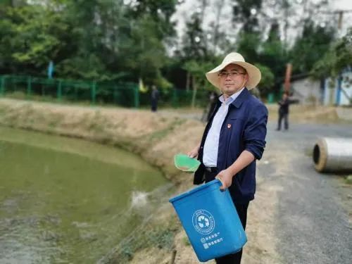 陈辉抗战诗人,陈辉辉作家