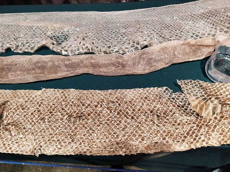 长隆乐园欢乐世界,广州长隆游玩注意事项