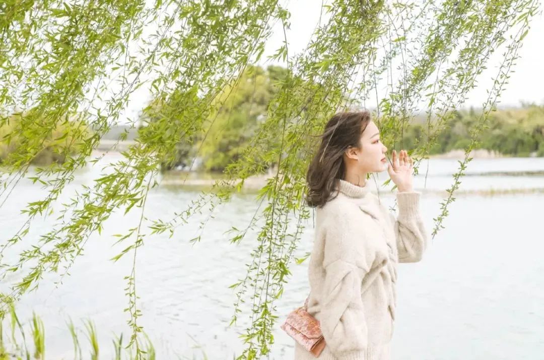 成都景点60岁以上免费门票,成都免费游玩景点推荐