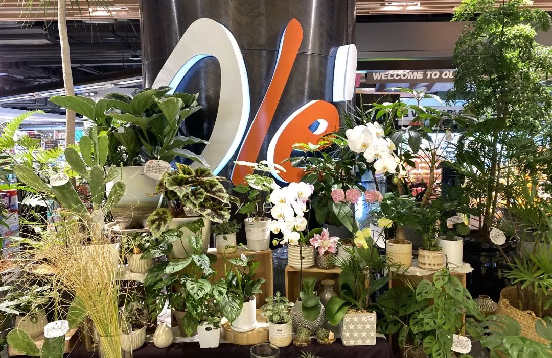 北京最好的进口超市,北京值得推荐的超市